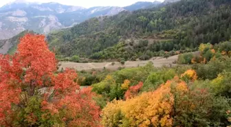 Erzurum'un köyleri sonbaharda görenleri hayran bırakıyor