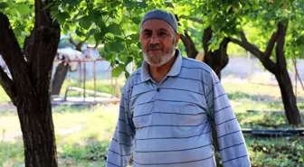 Hac hayalini dolandırıcılar bozdu