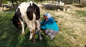 (Özel) Köyde ev kadınıydı, sette sinema yapımcısı oldu