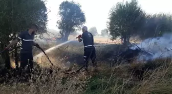 Bingöl'de yangın,ağaçlar zarar gördü