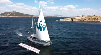 Blue Panda İstanbul'dan İzmir'e yelken açtı