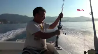 Mersin anamur'da bir kez daha balon balığı tutma yarışması düzenlenecek