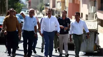 Doğançay'a Şirince modeli