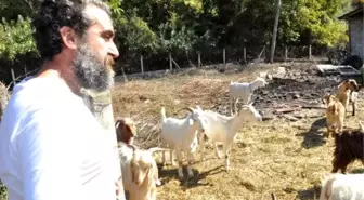 Karadeniz'in iki üniversite mezunu 'mandıra filozofu'