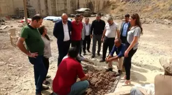 Çukurca'da, poşette askı sistemiyle ilk istiridye mantarı ekimi