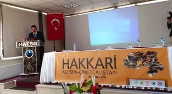 Hakkari'de 'Kurşun-Çinko' çalıştayı başladı