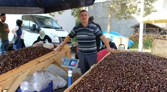 Sinop'ta kestane pazara indi