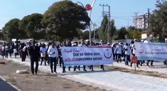 Erciş'te 'Dünya Yürüyüş Günü' etkinliği