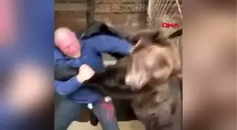 Rus dövüşçü, ayıyla antrenman yaptı