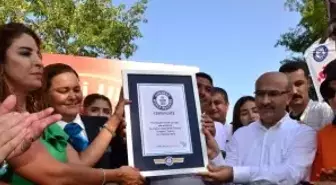 Dünya 'şişte et pişirme' rekoru 233 metrelik et şişle Adana'nın oldu