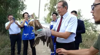 Hayvanları Koruma Günü'nde, doğal ortamlarına bırakıldılar