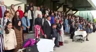 Binicilik: Cumhurbaşkanlığı Kupası