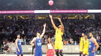 Gönüllü destekçi