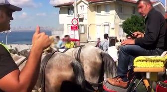 Adalar'da faytonlara 'dumansız hava sahası' denetimleri
