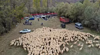 Koç katımı töreni renkli görüntülere sahne oldu