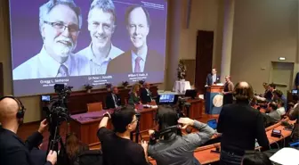 Nobel Tıp Ödülü William Kaelin, Sir Peter Ratcliffe ve Gregg Semenza'ya verildi