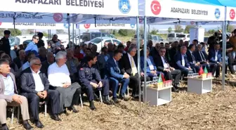 Sakarya mısır sektöründe 7'nci sırada