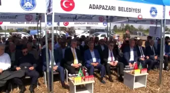 Sakarya mısır sektöründe 7'nci sırada