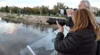 Beyşehir Gölü yabancı fotoğrafçıları ağırladı