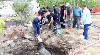 Foseptiğe düşen inek ve kaplumbağa kurtarıldı