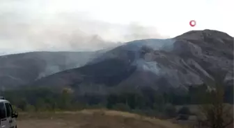 Sivas'ta örtü yangını