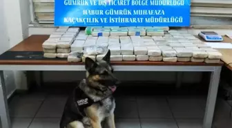 Habur Gümrük Kapısı'nda 105 kilo eroin ele geçirildi