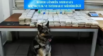 Habur gümrük kapısı'nda 105 kilo eroin ele geçirildi