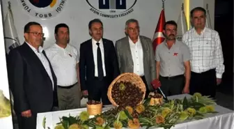 Sezonun ilk kestanesi kilosu 80 liradan alındı