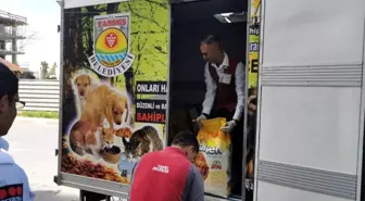 Tarsus'ta sokak hayvanları için 500 kilo mama toplandı