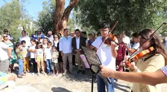 Bodrum'da halikarnas balıkçısı anısına bitki müzesi kurulacak