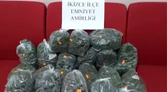 Ordu'da arı kovanında esrar ele geçirildi