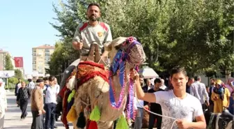 Denizli'den Elazığ'a getirilen develere yoğun ilgi