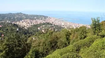 Karadeniz'de orman varlığı yok olan arazilerde sel ve heyelanlar artıyor