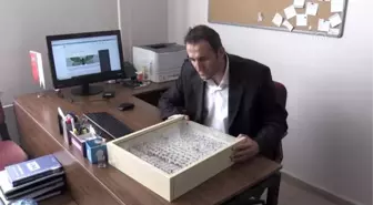 Bitlis'te bulunan güve türüne 'Nemrut' adı verildi