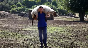 Aydın Büyükşehir, Çine çaparına sahip çıktı