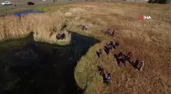 Erzurum'un yüzen adaları turizme kazandırılacak...Zökün Gölü havadan görüntülendi