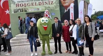 'Geyikli Zeytin Hasat Şenliği' başladı