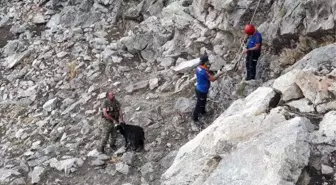 Kayalıklarda bir haftadır mahsur olan keçi, kurtarıldı