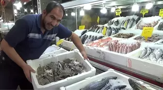 Deneme amaçlı yengeç getirdi, bir günde 60 tane sattı