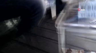 Her gün böcek yakalayıp besliyor, bulamazsa et veriyor