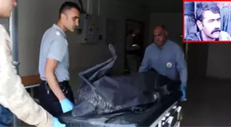 Gri listeye bir çizik daha! 300 bin TL ödülle aranan terörist öldürüldü