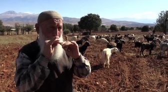 Keçilerin çobanı, mahallelinin öğretmeni (2)
