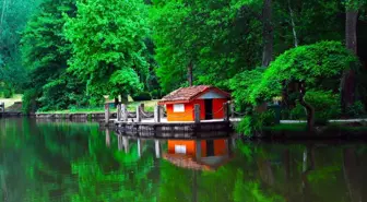 Atatürk Arboretumu nerede? Atatürk Arboretumu giriş ücretleri ve Atatürk Arboretumu ulaşım