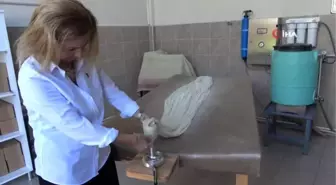 Bu balonlar havayı tahmin ediyor