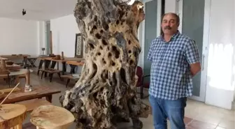Burhaniyeli mühendis, zeytin odunlarını sanat eserine dönüştürüyor