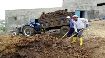 Ekmeklerini tezekten çıkarıyorlar