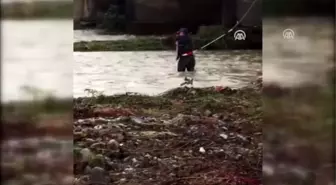 Dere yatağında mahsur kalan sokak köpeği kurtarıldı