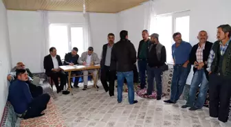 Hadim'de çiftçilere süt koyunu dağıtıldı