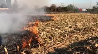 Sakarya Ziraat Odaları Kurulu Başkanı Bayraktar'dan anız yakmaya karşı uyarı