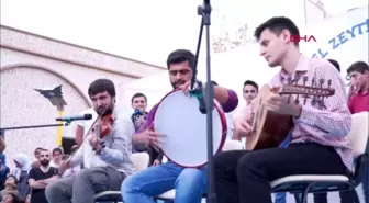 Hatay suriyeli yetimlerin, zeytin hasat şöleni